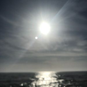 Meet your Posher, Lilly